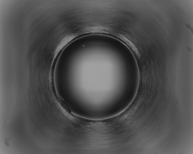 X0000093251285200709261712