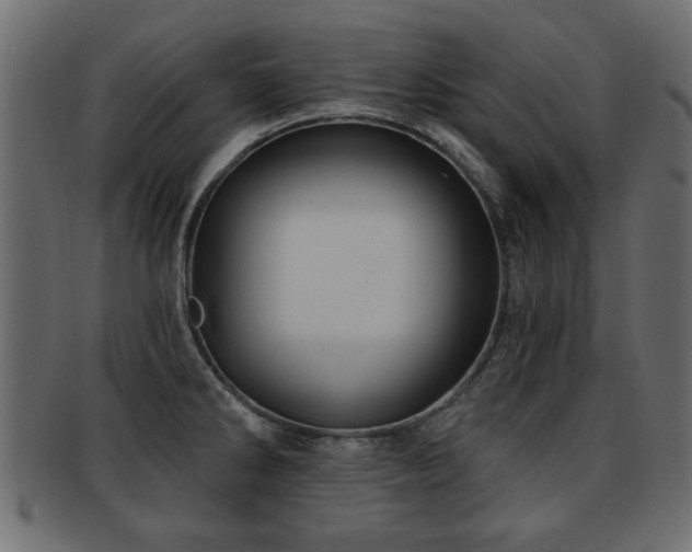 X0000093251286200709261712