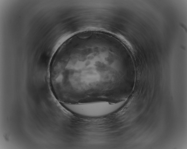 X0000093251287200709261712