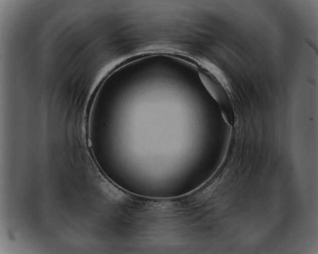 X0000093251288200709261712
