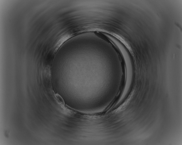 X0000093251289200709261712