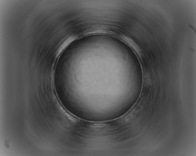 X0000093251290200709261712