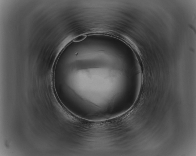 X0000093251291200709261712