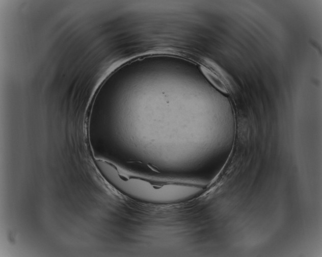 X0000093251292200709261712