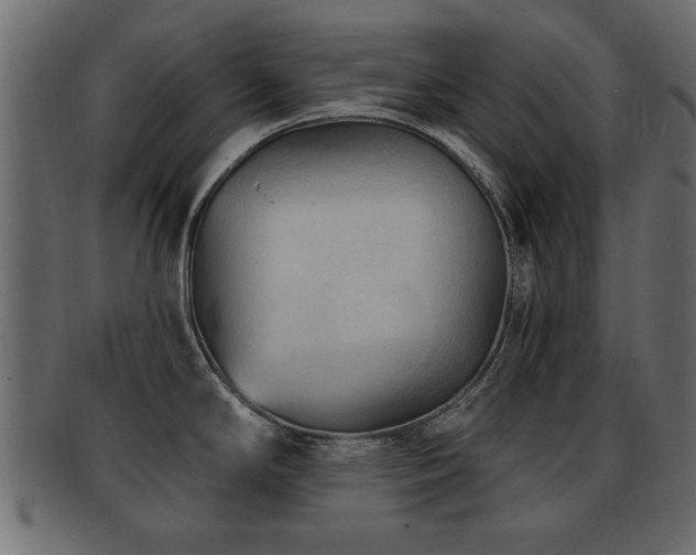 X0000093251294200709261712