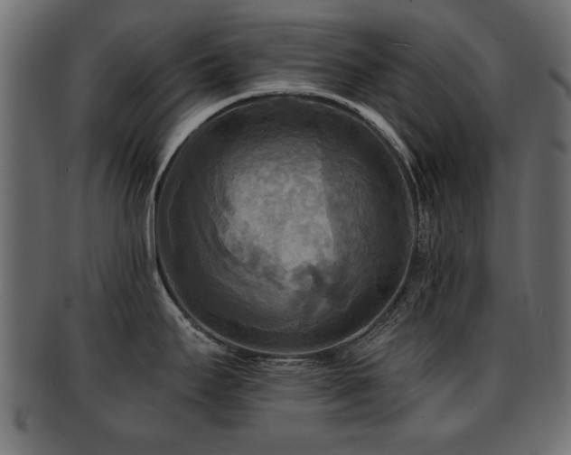 X0000093251295200709261712
