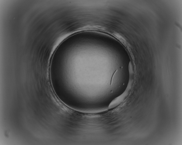 X0000093251296200709261712