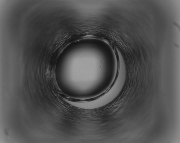 X0000093251298200709261711