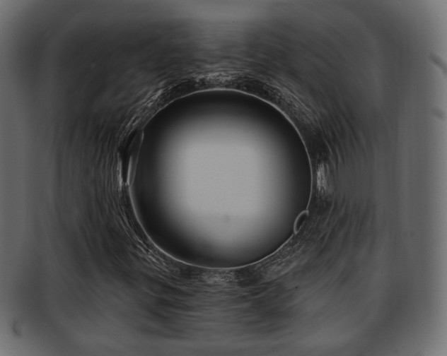 X0000093251299200709261711
