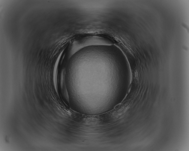 X0000093251300200709261711