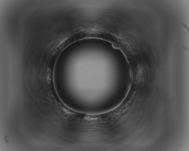 X0000093251301200709261711