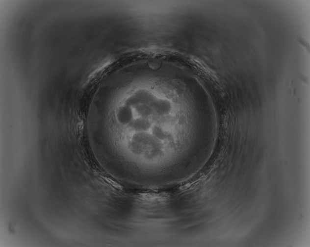 X0000093251302200709261711