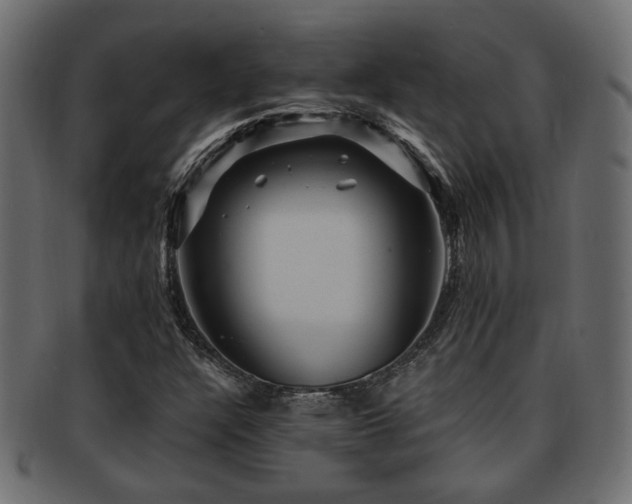 X0000093251304200709261711