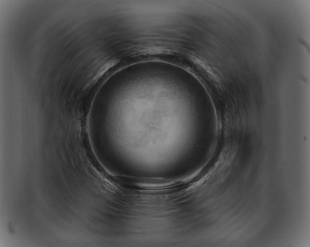 X0000093251305200709261711