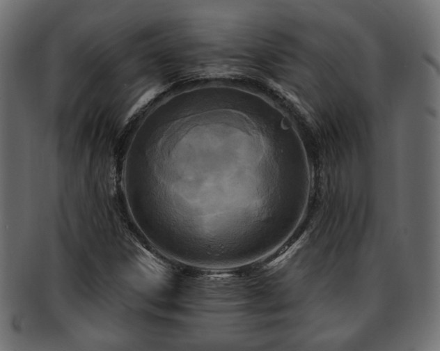 X0000093251306200709261711