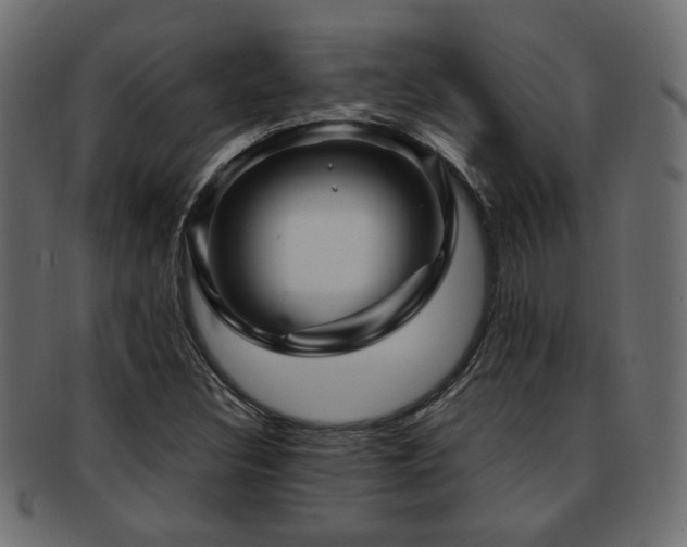 X0000093251308200709261711