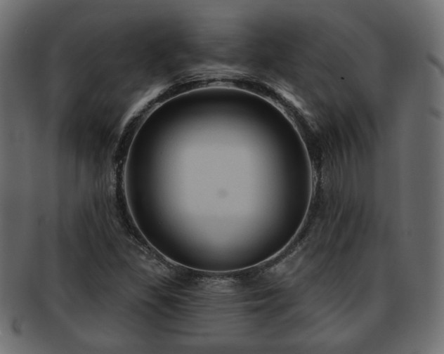 X0000093251309200709261712
