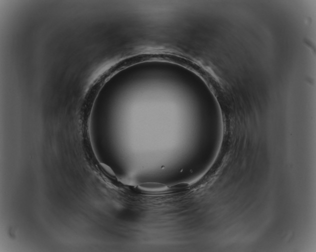 X0000093251311200709261712
