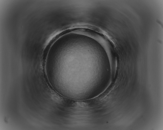X0000093251312200709261712