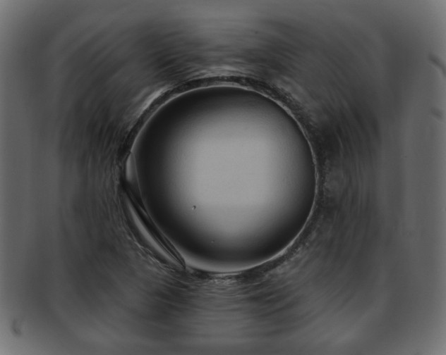 X0000093251313200709261712
