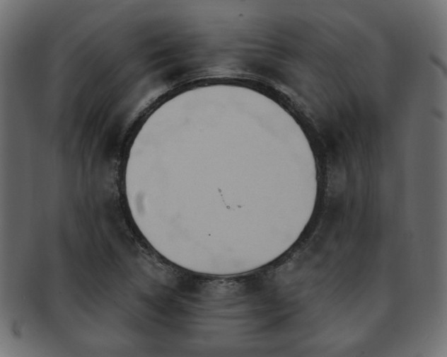 X0000093251314200709261712