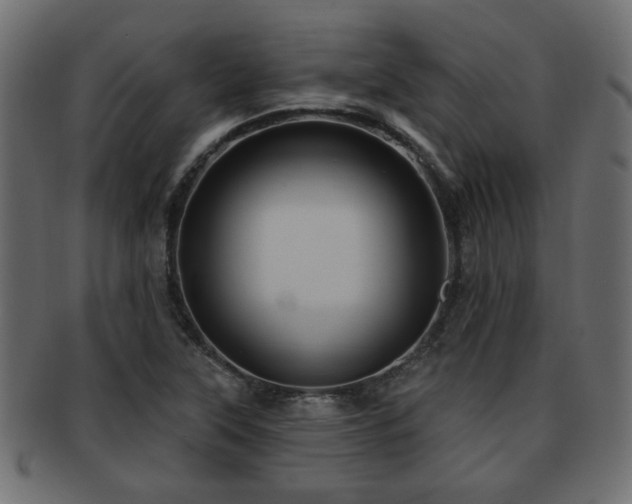 X0000093251315200709261712