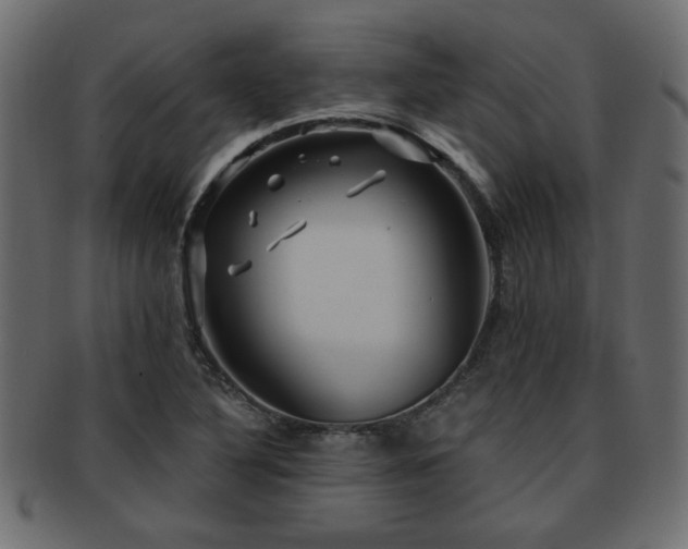 X0000093251316200709261712