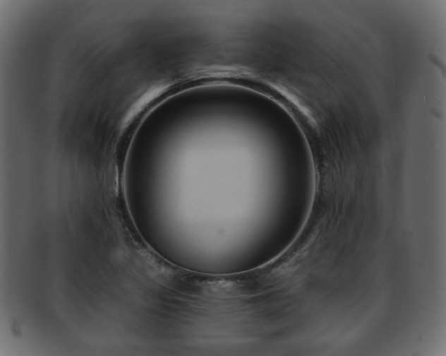 X0000093251317200709261712