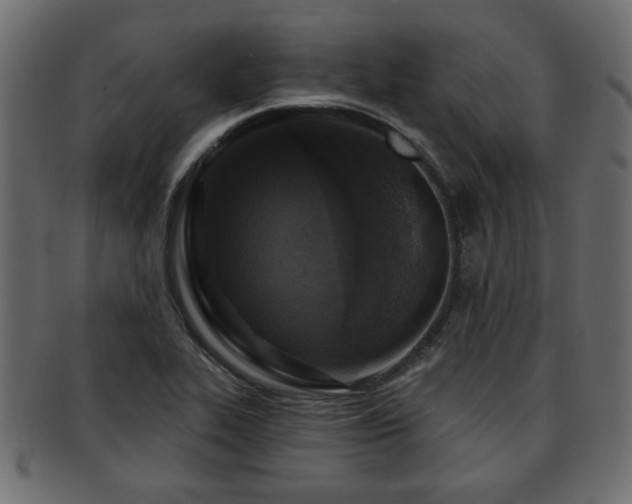 X0000093251319200709261712