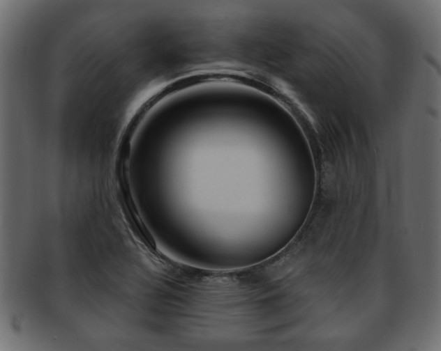 X0000093251320200709261712