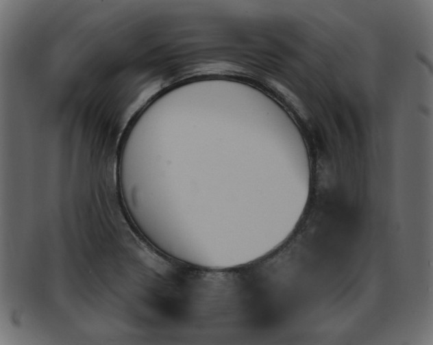 X0000093251322200709261712