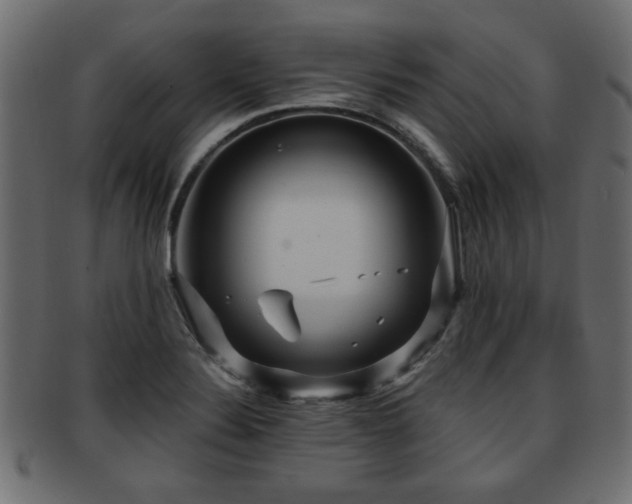 X0000093251324200709261712