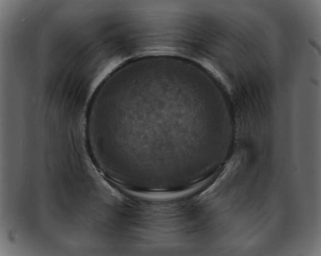 X0000093251325200709261712