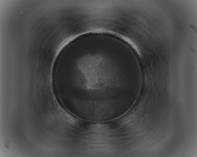 X0000093251327200709261712