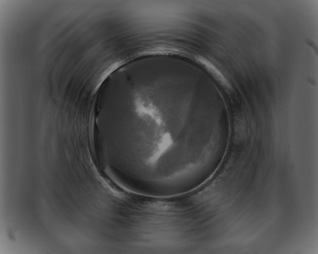 X0000093251329200709261712