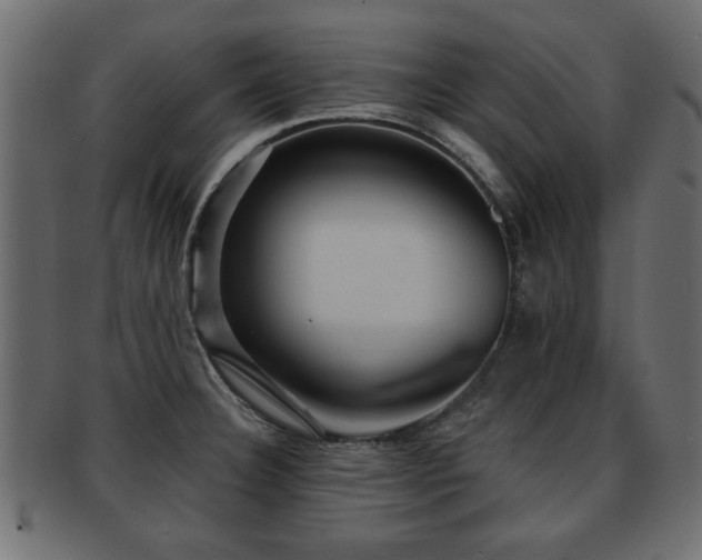 X0000093251332200709261712
