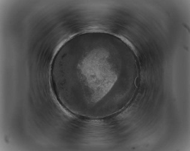 X0000093251333200709261712