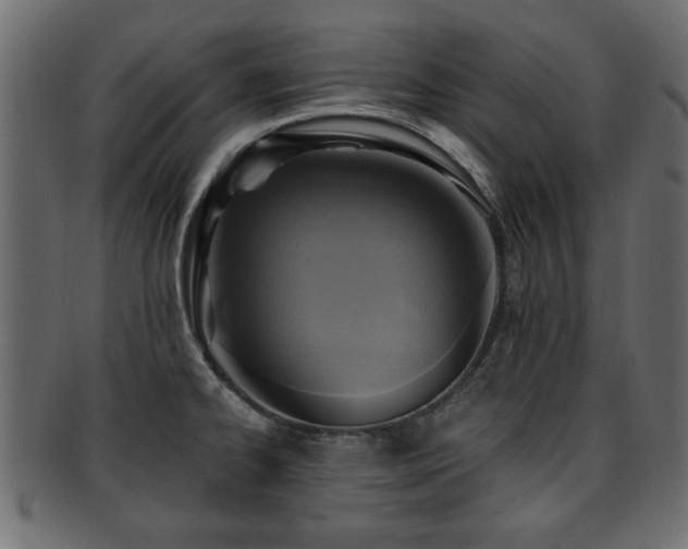 X0000093251334200709261712