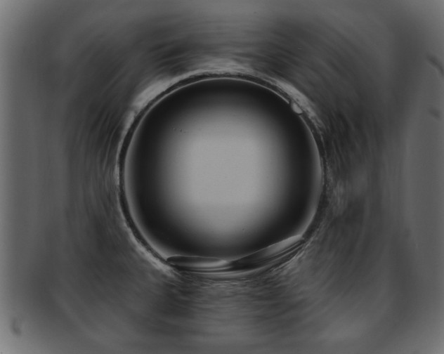 X0000093251335200709261712