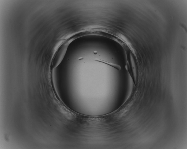 X0000093251336200709261712
