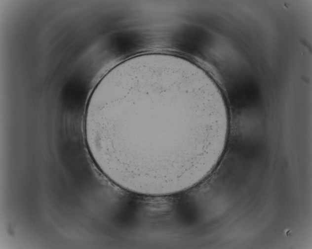 X0000093251338200709261712