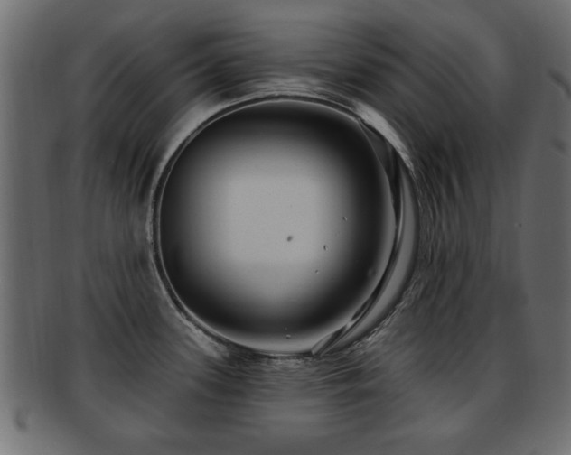 X0000093251339200709261712