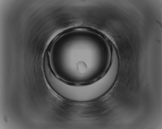 X0000093251342200709261712
