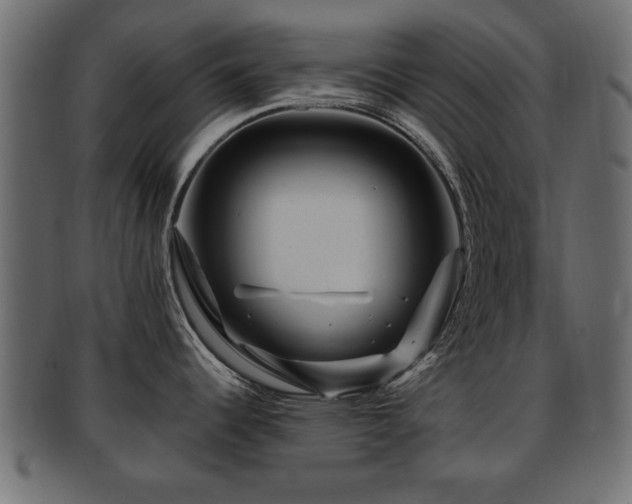 X0000093251344200709261712
