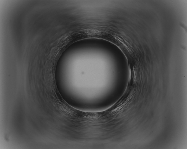 X0000093251345200709261711
