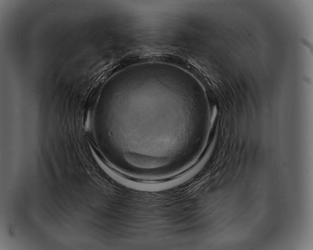 X0000093251348200709261711
