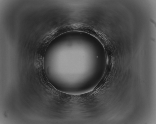X0000093251349200709261711