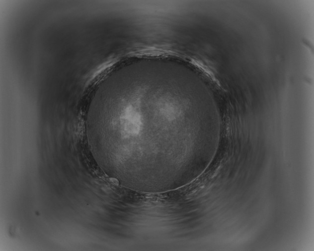 X0000093251350200709261711