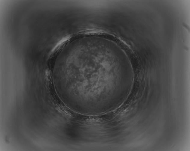 X0000093251351200709261711
