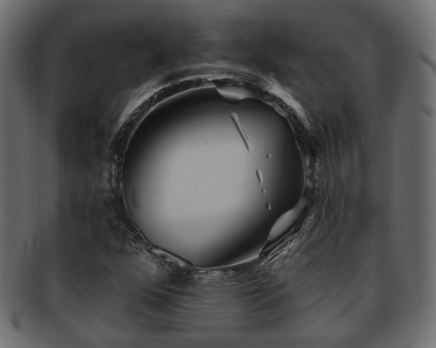 X0000093251352200709261711